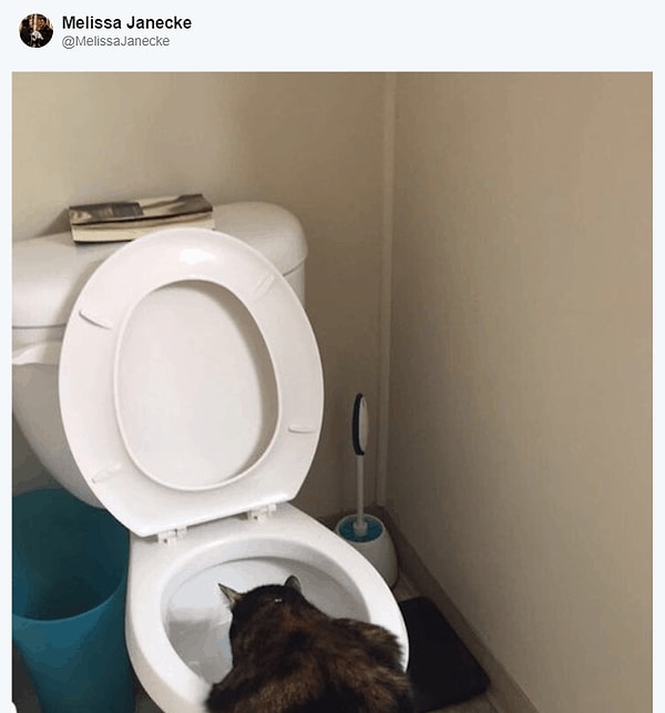 7. А порой и бесят