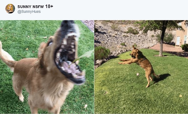 10. Ууу... страшно