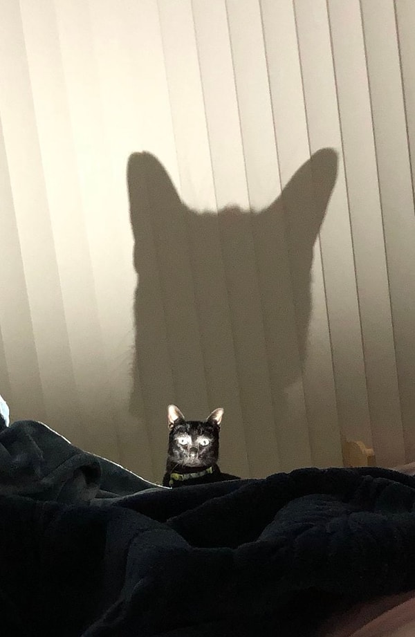 12. Призраки в доме