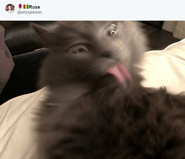 14. Телепортация