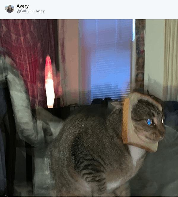 17. Бутерброд