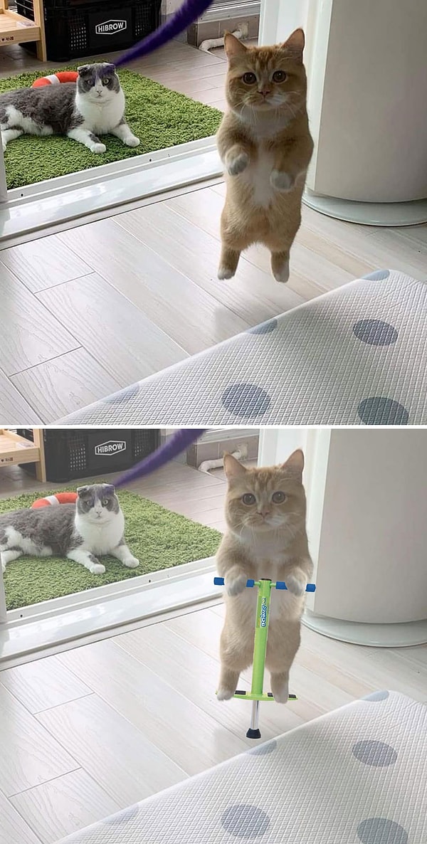 14. Летающий котик