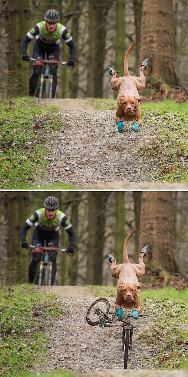 21. Какой из них круче?