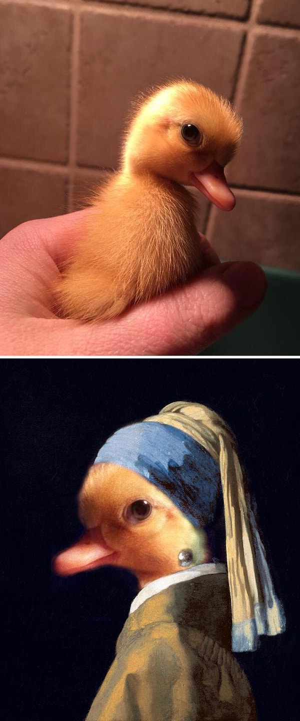 31. Уточка с жемчужной серьгой