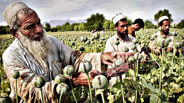 11. Когда в 1839 году Китай запретил продажу опиума, наложил ограничения на всех зарубежных торговцев, а также изъял и уничтожил 20 тыс. сундуков с опиумом, что сделала Британия?