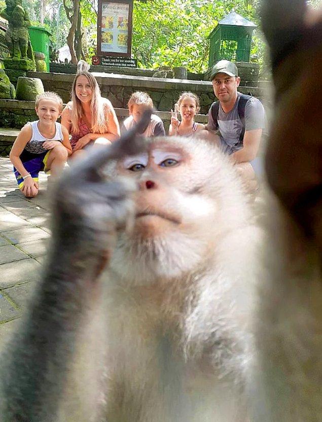 Mail Online'a göre, Avustralyalı aile çıktıkları Bali, Endonezya tatilinde, bir günlüğüne ünlü Ubud Maymun Ormanı'na gitmeye karar verdi...