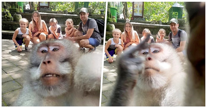 Tatile Gelen Ailenin Kamerasını Kapıp Selfie Sırasında Hareket Çeken Fırlama Maymun