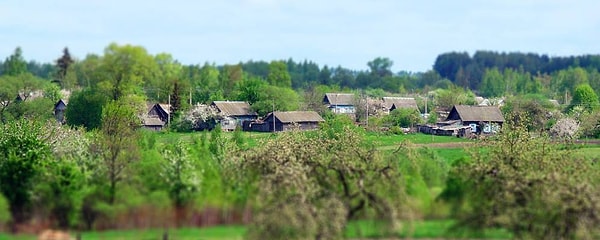 5. "Гардеман" в Брянской области - это, разумеется,...