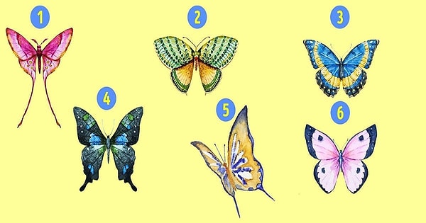 Итак, какая из этих шести красавиц больше остальных вас привлекает?