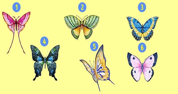 Тест: Самая прекрасная бабочка раскроет потаенные стороны вашей личности