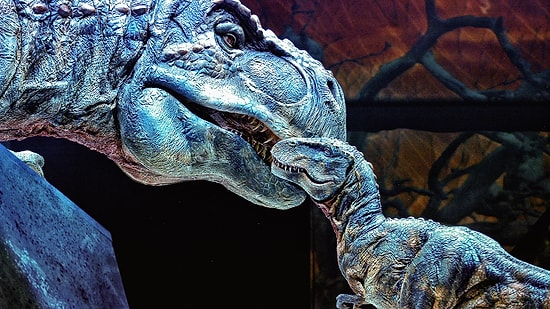 Совершите путешествие в мезозойскую эру с увлекательным тестом из 12 вопросов о динозаврах