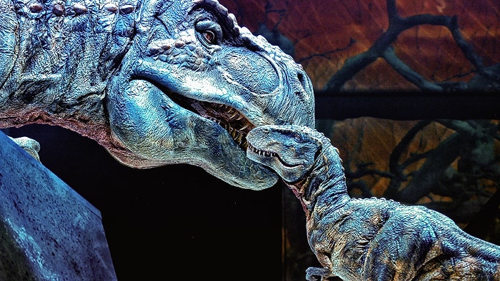 Совершите путешествие в мезозойскую эру с увлекательным тестом из 12 вопросов о динозаврах