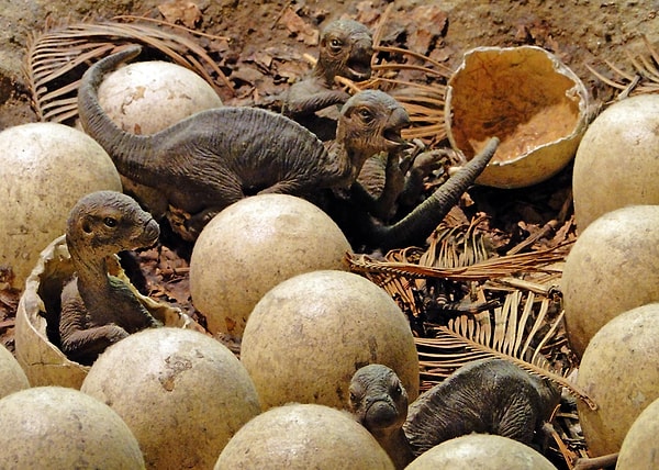 1. В каком периоде возникли динозавры?