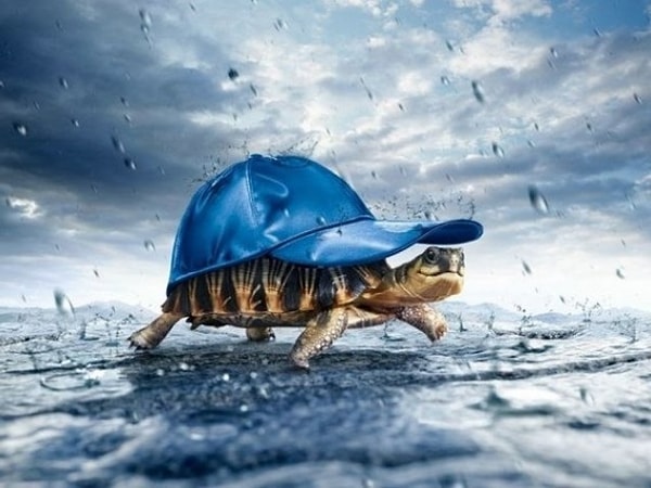 Для вас счастье - это успех и признание, а для их достижения вам нужно открыться новым возможностям.