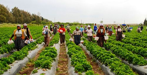 TÜİK Bilgileri Açıkladı: İşsizlik Oranı Mart Periyodunda %14,1 Oldu