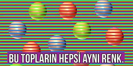 İnternetin Fatihi Bu Görüntülerden Sonra 'Bu İnterneti Bugüne Dek Boşa Kullanmışım' Diye Hayıflanacaksınız!