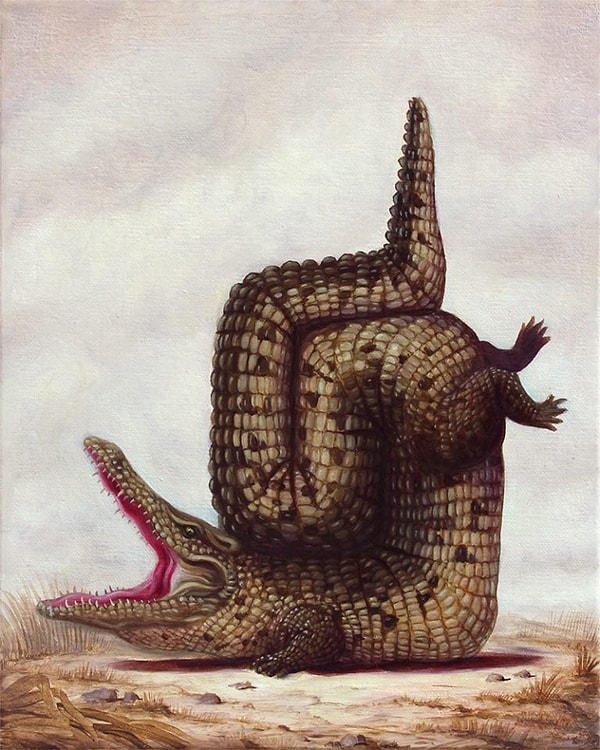 4. Крокодил, занявшийся йогой