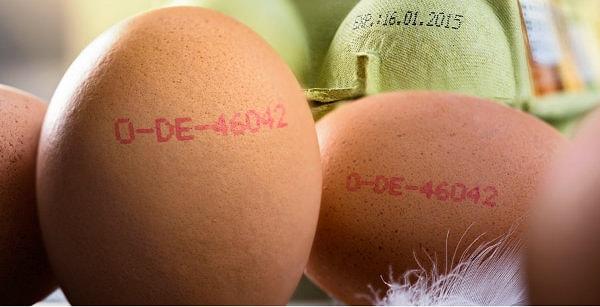 4. Yumurtaların üzerindeki kodların ilk rakamı, organiklik derecesini ifade ediyor. Eğer organik bir yumurta almak istiyorsanız, kod kaç ile başlamalı?