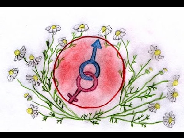 7. Выберите термин, который не используется для описания полового размножения организмов.