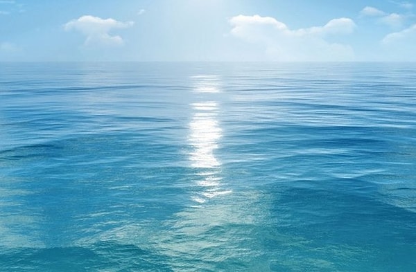 8. Какое из этих животных размножается в воде?