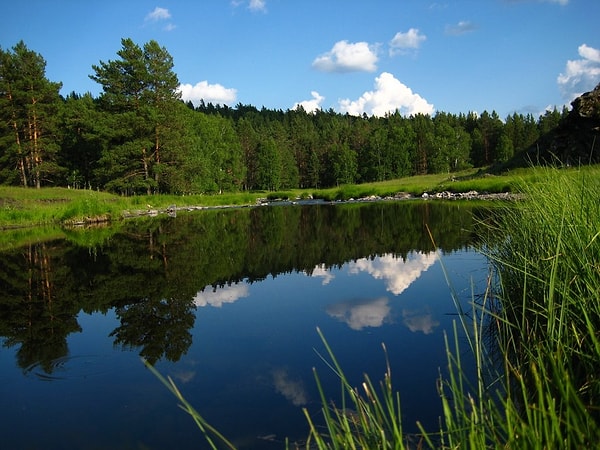 10. Выберите из перечисленных признаков тот, который относится к заповедникам.