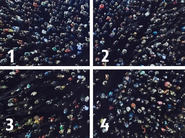 4. Это все были цветочки. Проверим, сможете ли вы найти эмодзи лошади.