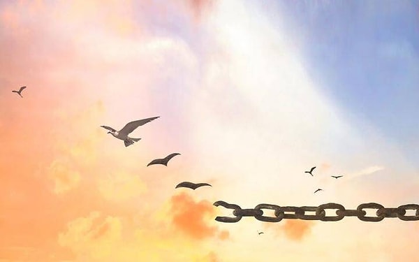 2. Какой из этих предметов ассоциируется у вас со свободой?