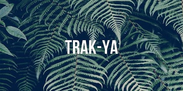 4. "Trakya" kelimesi doğru bir şekilde hecelerine ayrılmış mıdır?