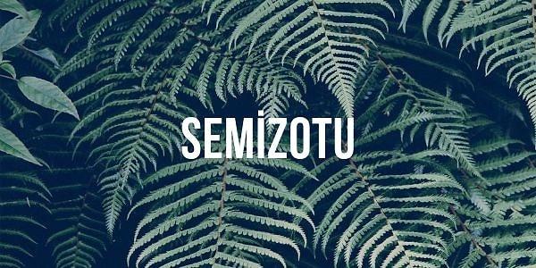 8. Aşağıdakilerden hangisi "semizotu" kelimesinin hecelerinden biridir?