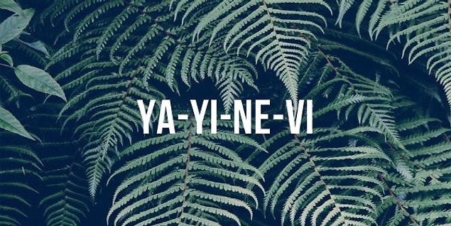 1. "Yayınevi" kelimesi doğru bir şekilde hecelerine ayrılmış mıdır?