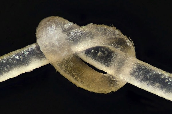 38. Человеческий волос (русый)