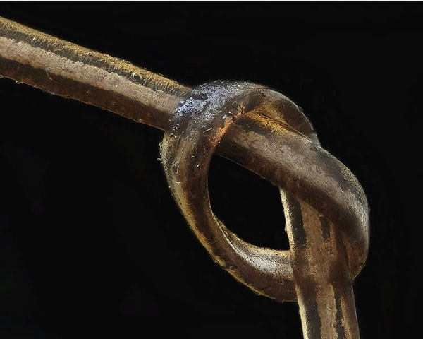 39. Человеческий волос (темный)