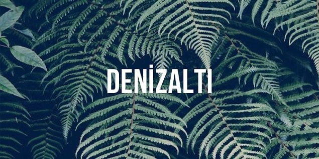 10. Aşağıdakilerden hangisi "denizaltı" kelimesinin hecelerinden biri değildir?
