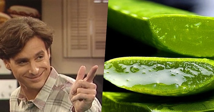 Kalp Acısı Hariç Her Derde Deva! Yıllarca Çözüm Bulamadığı Egzama Problemini Aloe Vera İle Sonlandıran Kadın