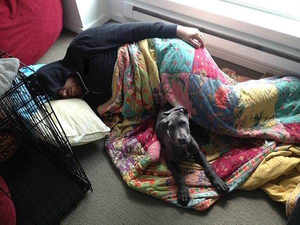 18. Kız arkadaşı, köpeğin onlarla yatakta uyumasına izin vermemiş ama o arkadaşının yalnız kalmasın istememiş.