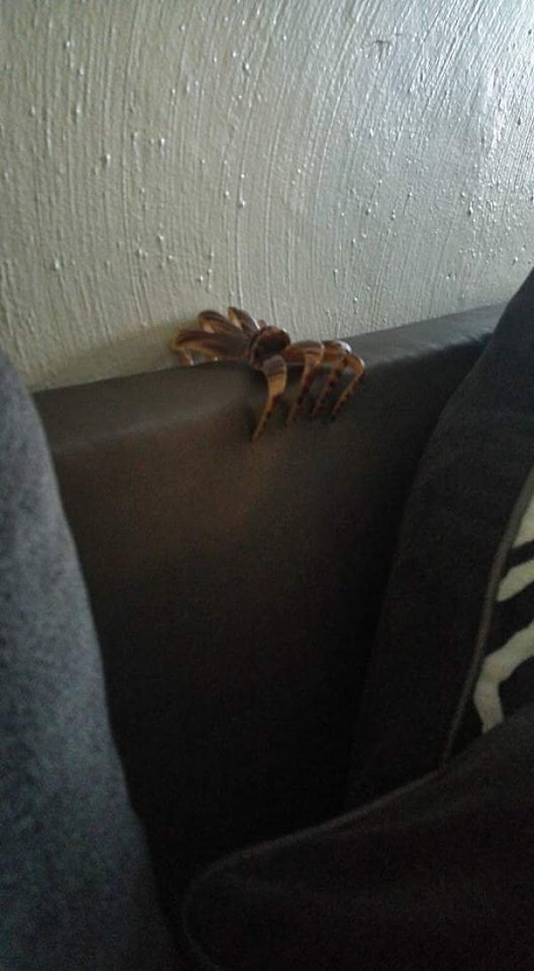 1. «Жена оставила заколку… Чуть инфаркт не получил»