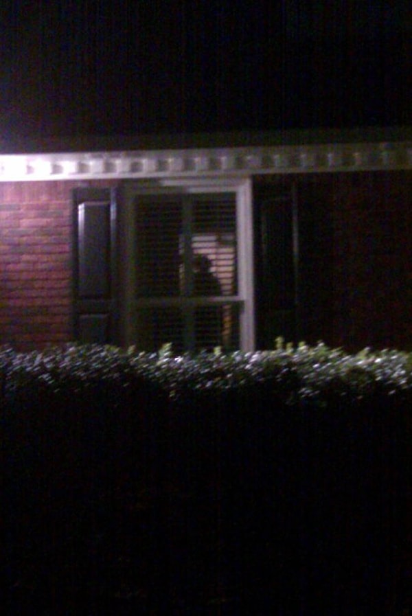 14. «Возвращался домой и увидел в окне странный силуэт. Позвонил в полицию. Виновник? Моя сушившаяся на вешалке одежда»