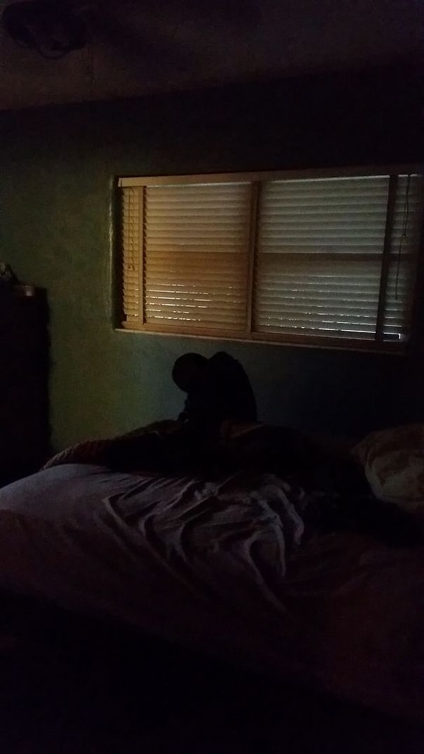 17. «Вернулся домой поздно ночью и обнаружил нечто, сидящее на кровати. Теперь я знаю, что значит быть настолько испуганным, что даже пошевелиться не можешь»