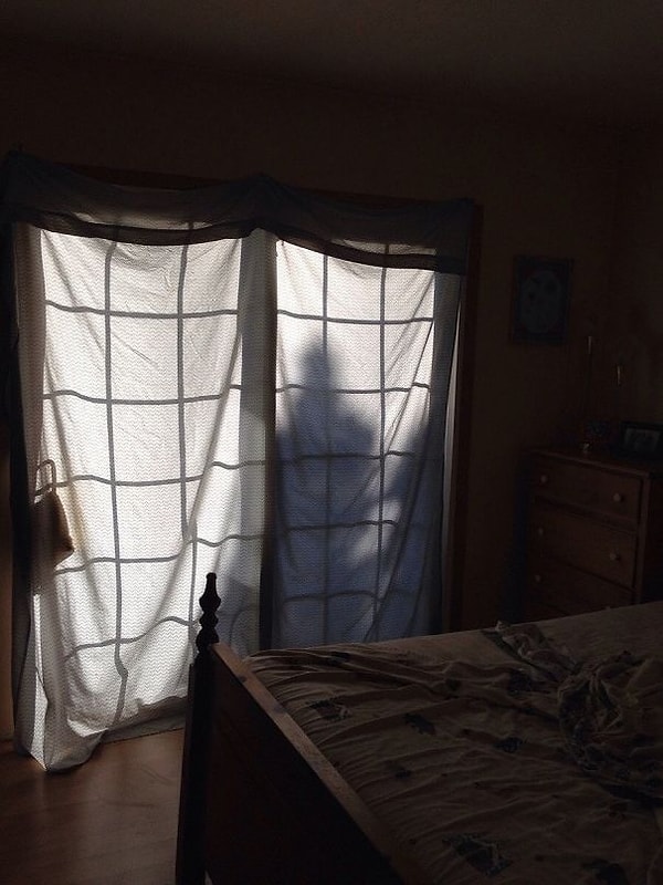 22. «Всего лишь ветка дерева, а я до сих пор не могу успокоить дрожь в коленках»