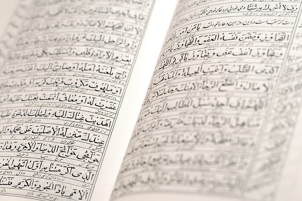 Вы знаете фарси!