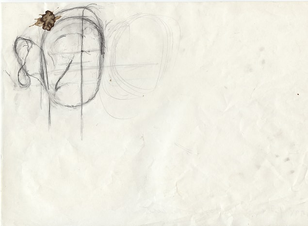 15. (2001)