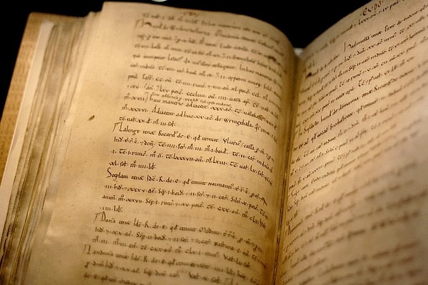 7. Слово «непотизм» произошло от латинского «внук». Какой у него синоним?