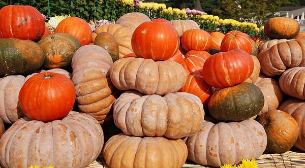 2. Традиционные пожарские котлеты делают из...