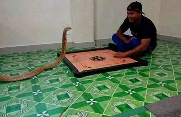 Warranan Sarasalin, bu fotoğrafları paylaşmasıyla viral oldu. 5 yıl önce kız arkadaşını kaybeden Sarasalin, Güney Doğu Asya'da gördüğü bu yılanı kız arkadaşına benzetmiş.
