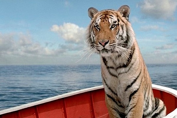 8. Где вы могли видеть этого грозного тигра?