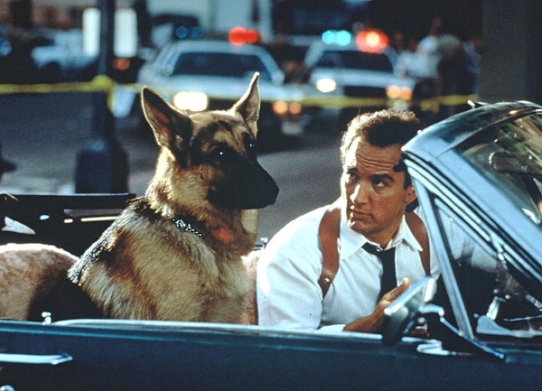 12. И напоследок еще один пес.