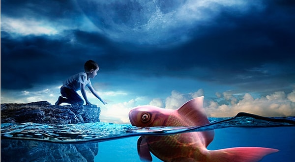 5. Вы запоминаете то, что видели во сне?