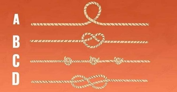 Итак, выбираем: