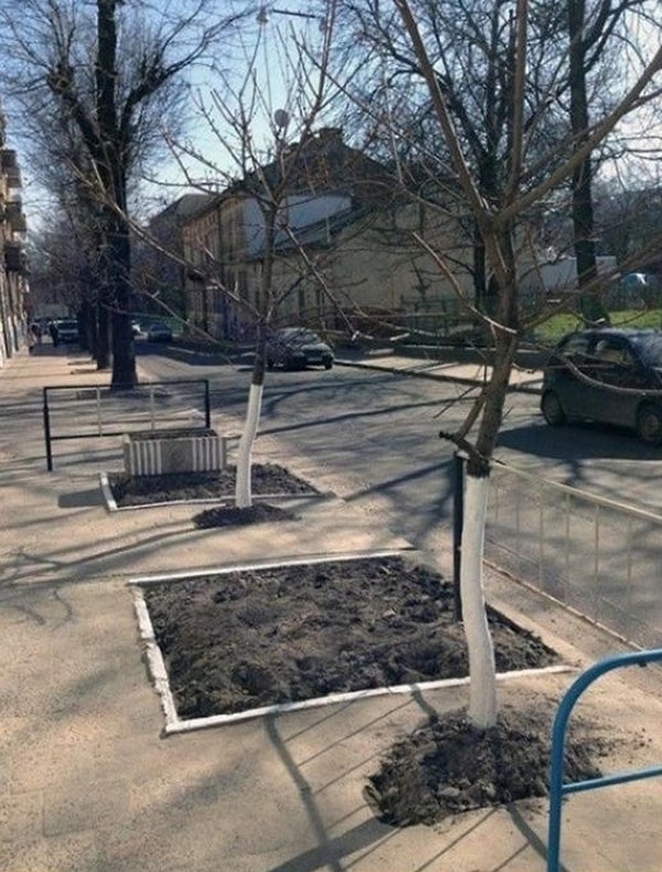 7. Впрочем, иногда наблюдать за результатами их трудов бывает даже забавно