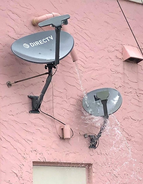 10. Но только пока дело не коснется лично вас